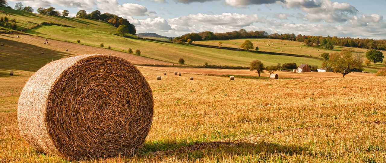 Farming Update | Autumn 2019