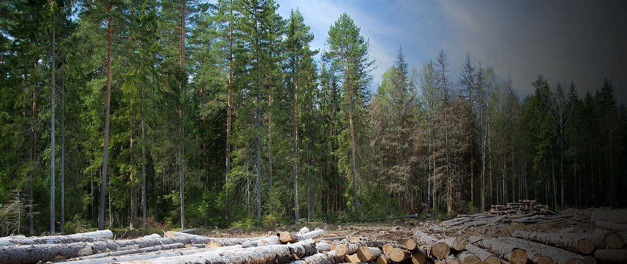 Land Business Tracker | April 2019