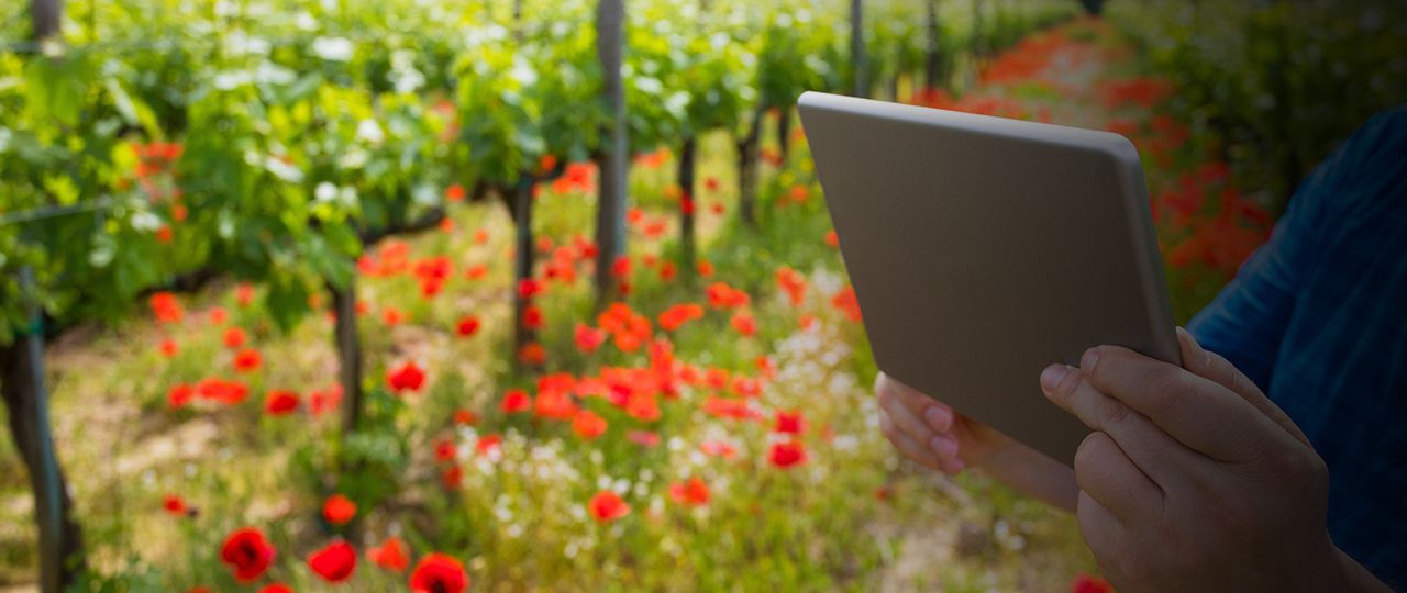 Why Strutt & Parker is supporting FaceTime a Farmer