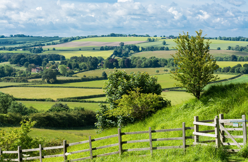 13 key points from Defra’s update on the future of farm policy – February 2020