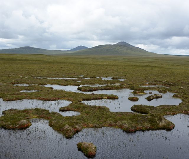 The restoration of Scottish peatland