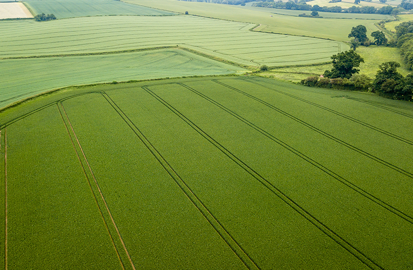 Regional Round-up of Harvest Prospects and Trends for Cropping in 2021
