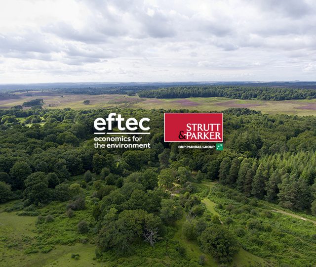 Strutt & Parker in natural capital account collaboration with eftec