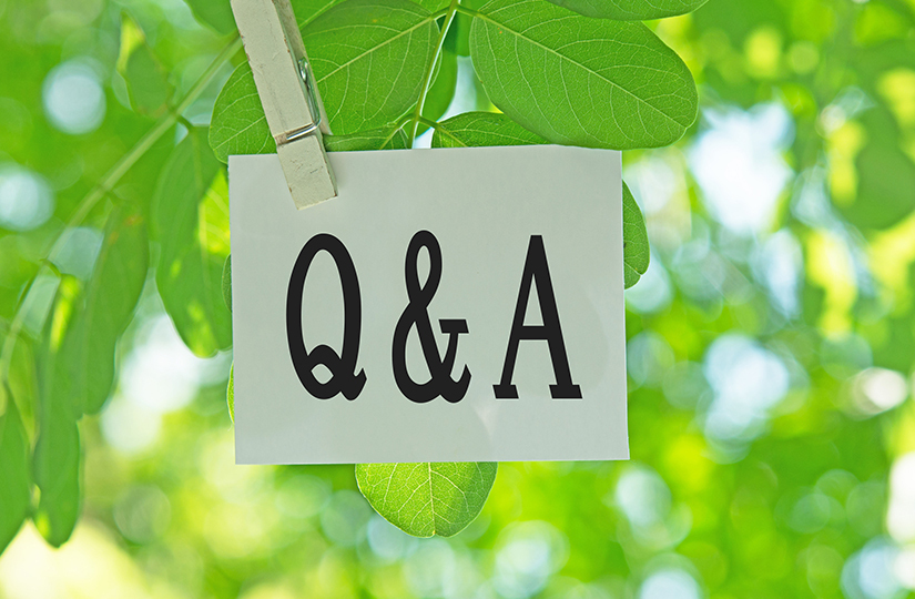 Q&A with Ece Ozdemiroglu, guest speaker at the UK Forest Market Review