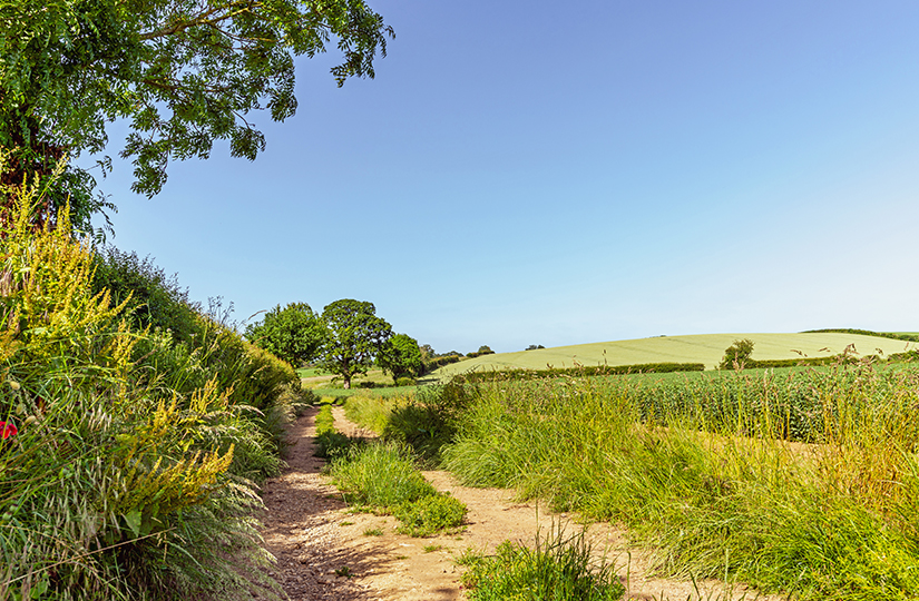 Countryside Stewardship – key changes for 2022 agreements