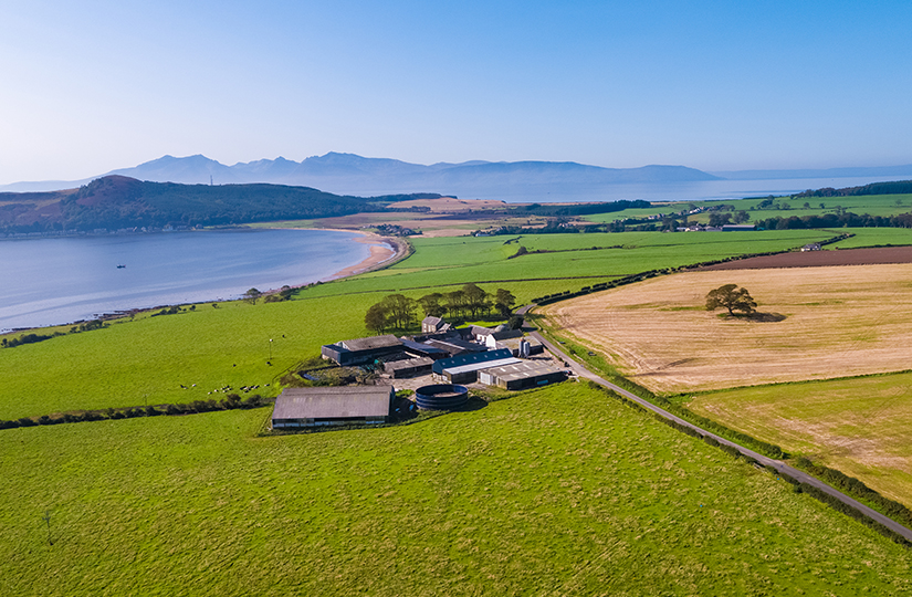 Exciting dairy farming opportunity on the Isle of Bute