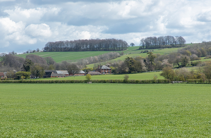 Green investment in farmland rises