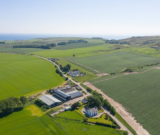 Farmland values in Scotland surge due to rising competition