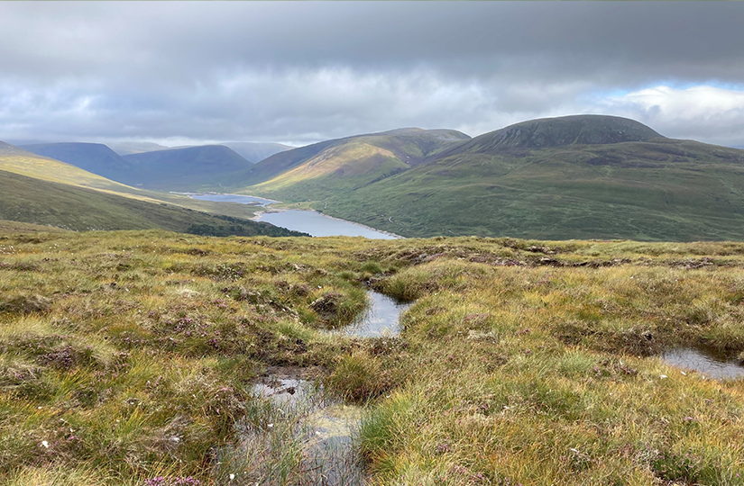 7 things to know about the updated Peatland Code