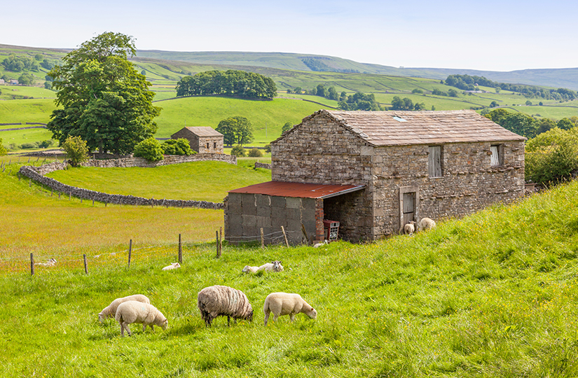 The UK’s Shared Prosperity Fund – A rural perspective