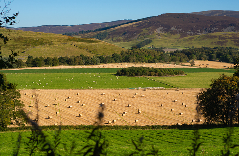 New sources of funding available to Scotland’s farmers