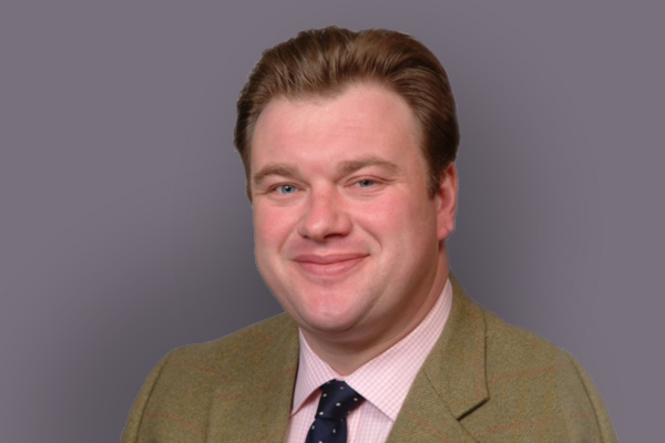 David Slack