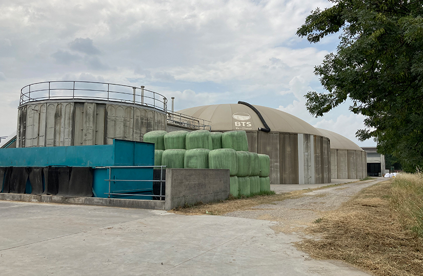 Learning from the Italian biogas sector