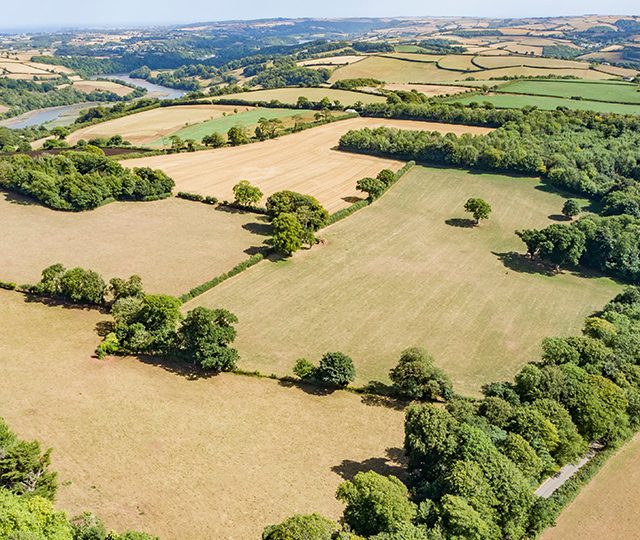 English Estates & Farmland Market Review – Autumn 2022