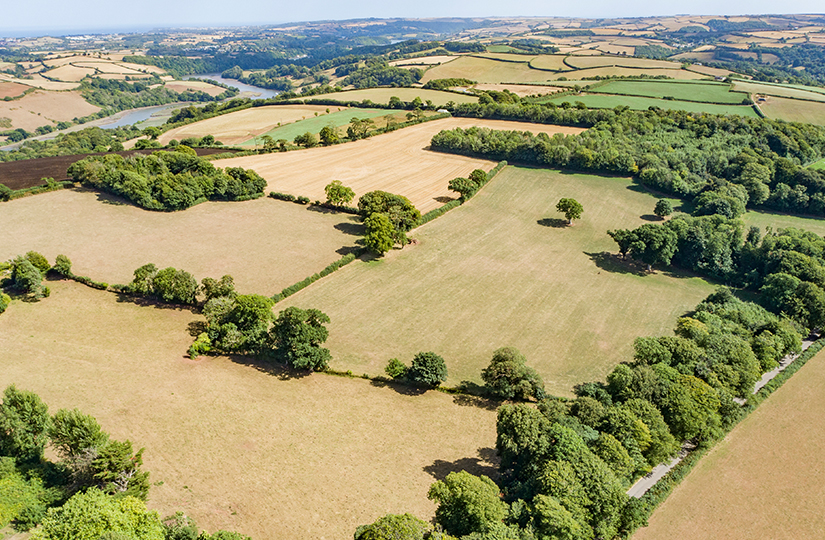 Agricultural Land Values In England Are Climbing Towards Record Levels