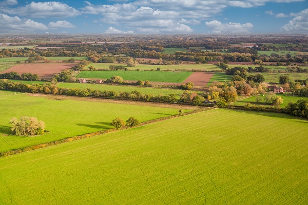 Agricultural Land Values In England Rise To Record Levels Strutt Parker