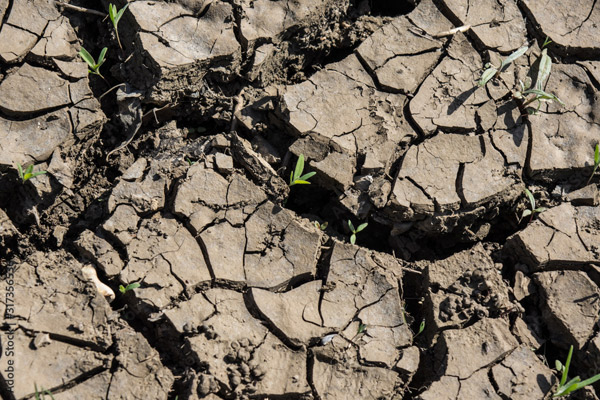 How climate change is impacting farming systems