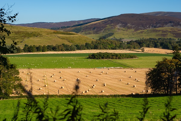 Strutt & Parker to assist Scottish Land Commission with market insight