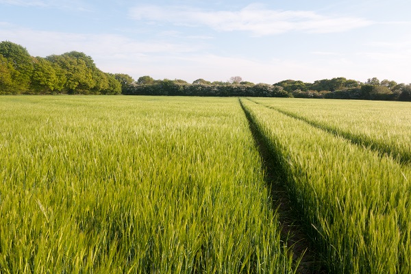 Future Farming and Countryside Programme for England poster