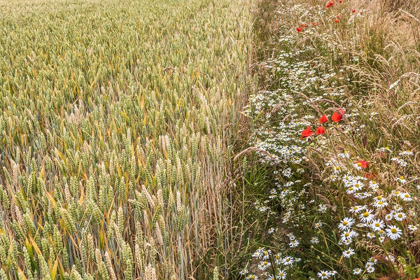 Land Business Update | Week Commencing 12th June 2023