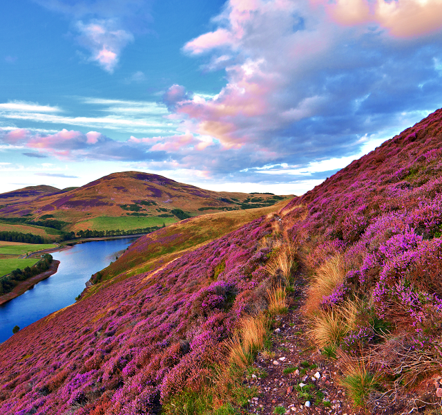 Biodiversity restoration funding on offer in Scotland