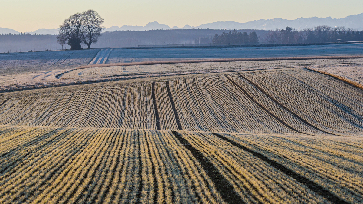 Land Business Tracker | November 2023