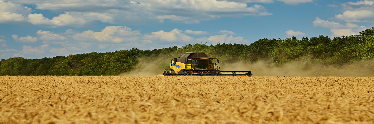 Updated arable farm profit forecasts for harvest 2024
