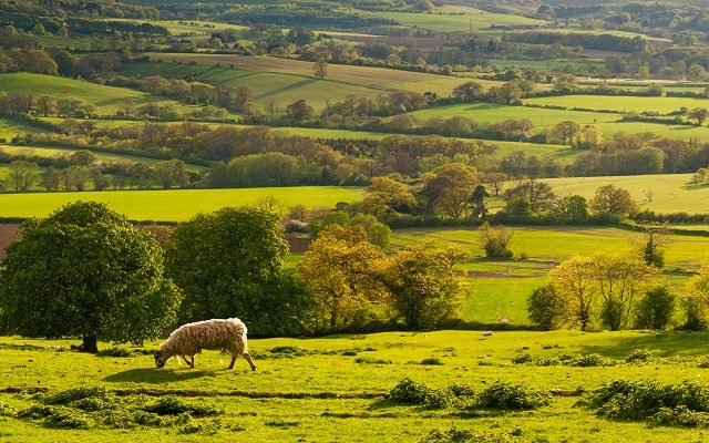 Climathon event can unlock new ideas for farms and estates