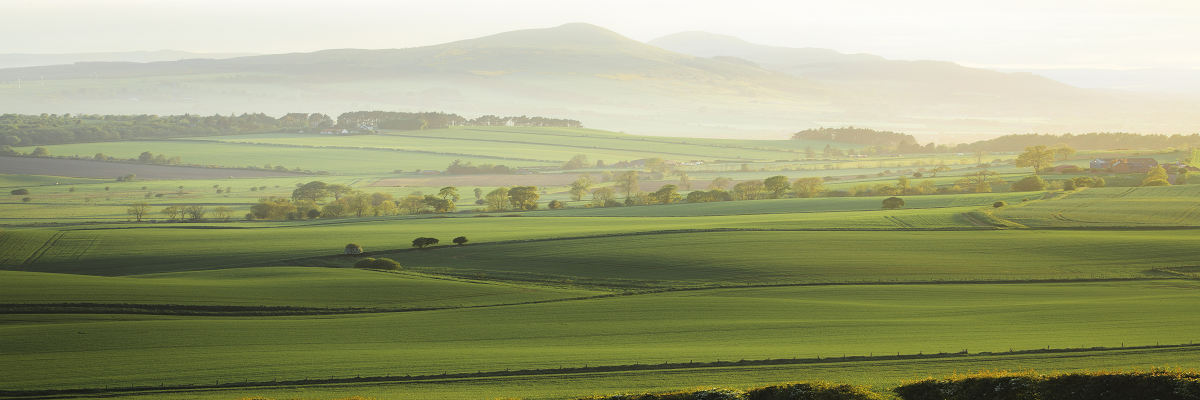 Whole Farm Plan rules for farms in Scotland – are you ready?