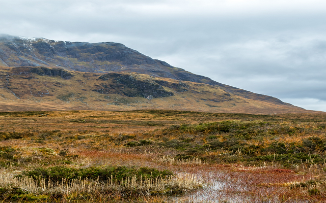 Calls mount to reverse biodiversity loss and protect soils