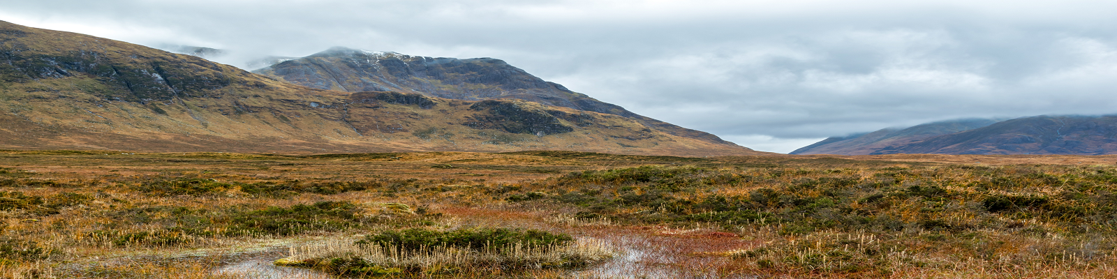 Calls mount to reverse biodiversity loss and protect soils