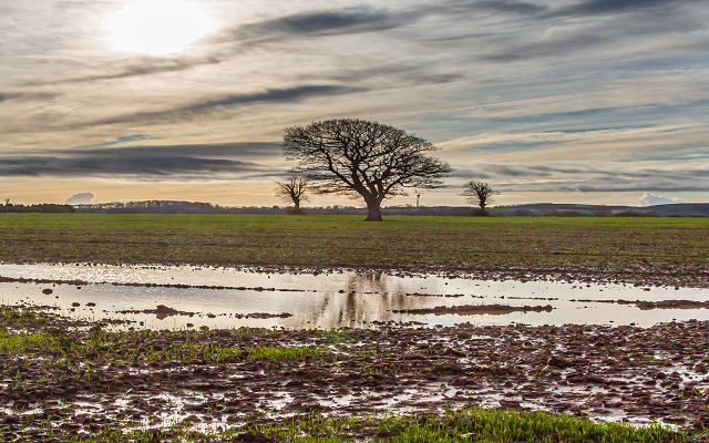 In the know: How farms are becoming more climate resilient