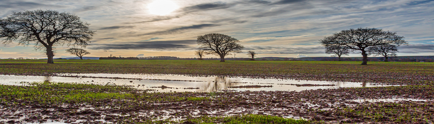 In the know: How farms are becoming more climate resilient