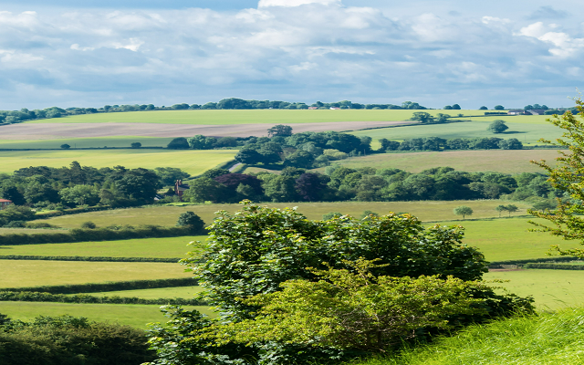 Partners in progress: How we are helping rural clients build resilience