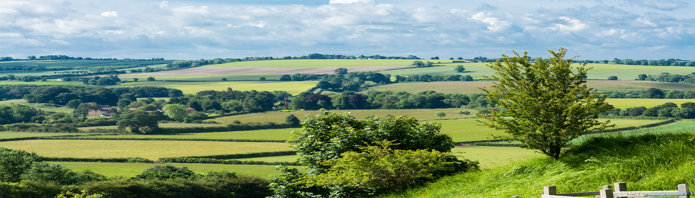 Partners in progress: How we are helping rural clients build resilience