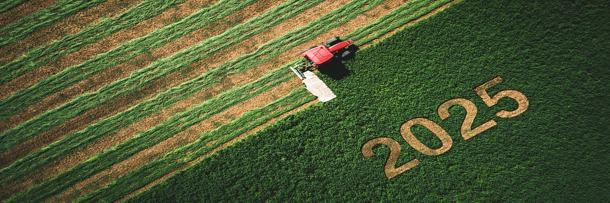 Outlook for 2025 – 6 key themes facing land managers