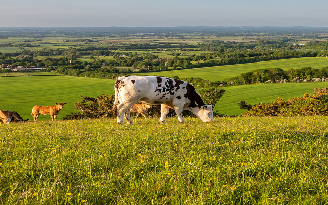 What is coming down the line in terms of farming policy in 2025?