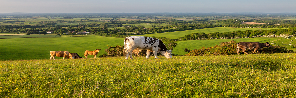 What is coming down the line in terms of farming policy in 2025?