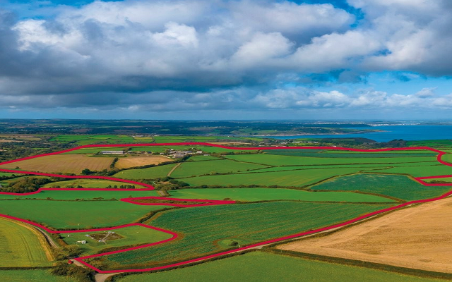 English Estates & Farmland Market Review | Winter 2024/25