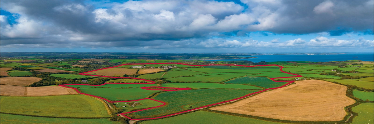 English Estates & Farmland Market Review | Winter 2024/25