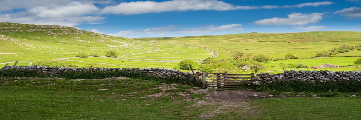 Land Business Update | Week Commencing 26 May 2025