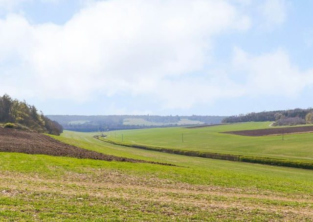 English Estates & Farmland Market Review | Spring 2025