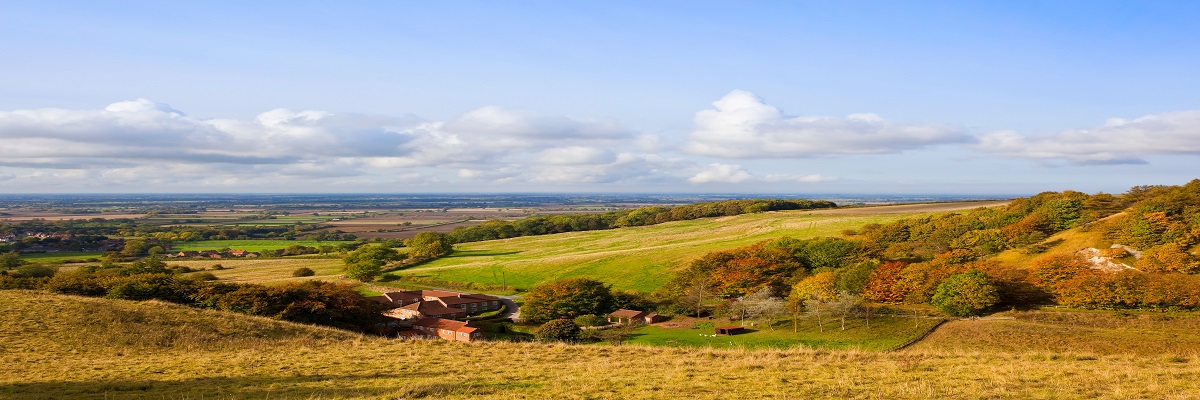 English Estates & Farmland Market Review | Autumn 2023