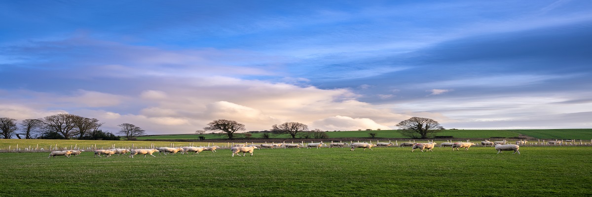 English Estates & Farmland Market Review | Spring 2023