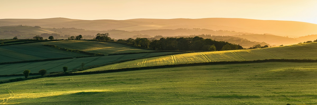English Estates & Farmland Market Review | Summer 2023