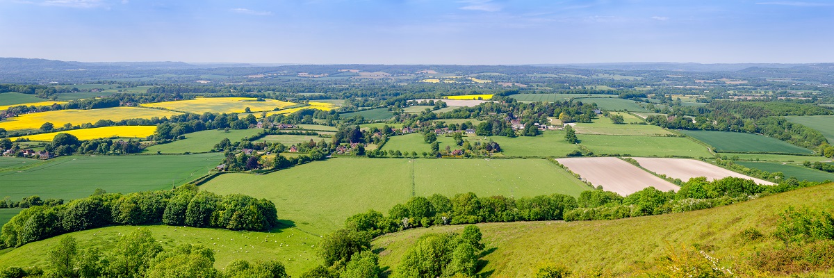 English Estates & Farmland Market Review | Winter 2023/24