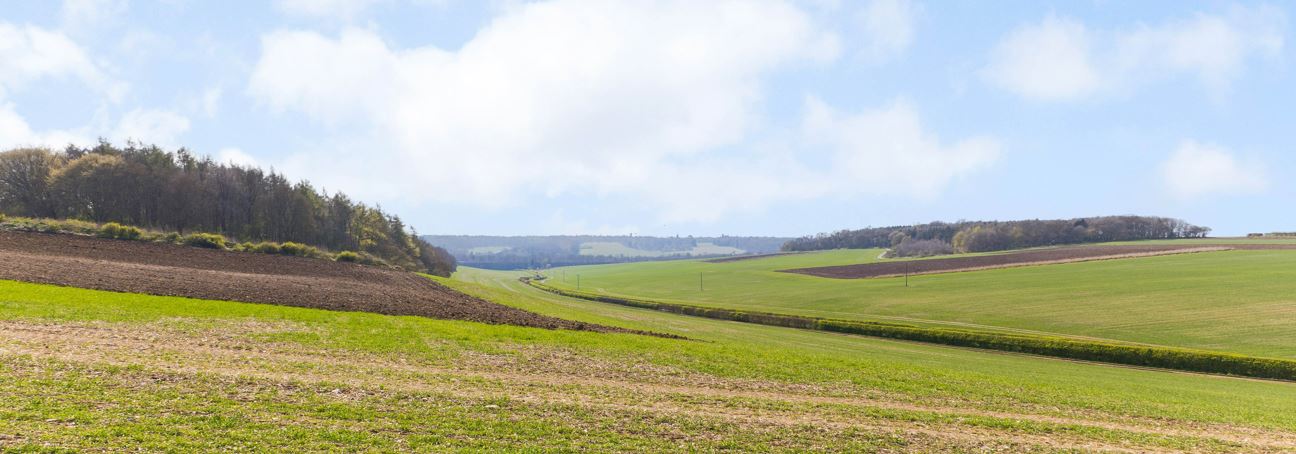English Estates & Farmland Market Review | Spring 2025