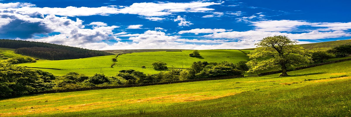English Farming Update | Spring 2023