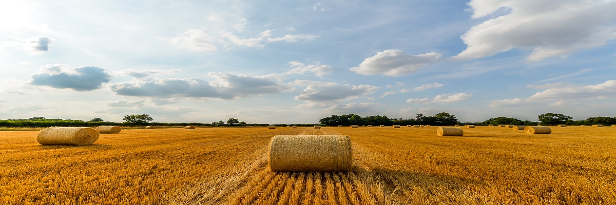 English Farming Update | Summer 2023