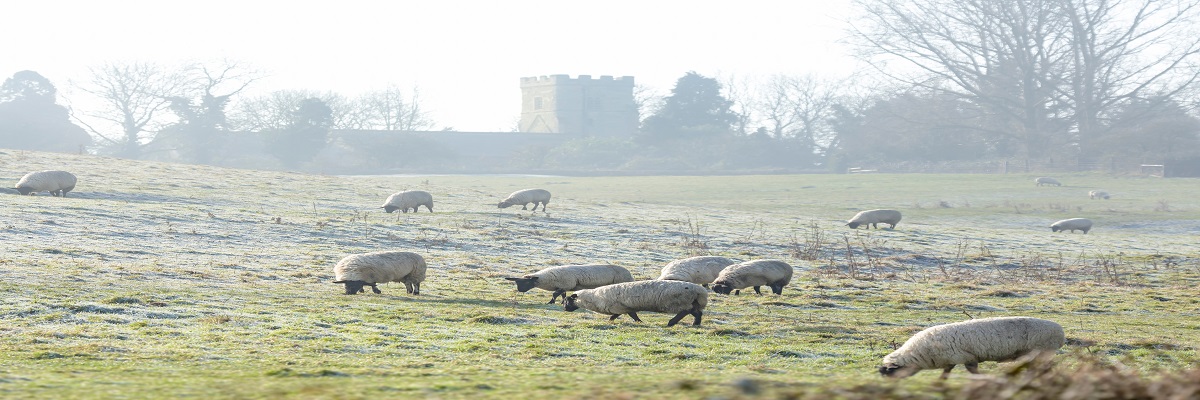 English Farming Update – Winter 2023